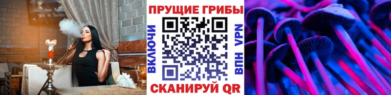 Купить закладки  Светогорск  Псилоцибиновые грибы GOLDEN TEACHER 